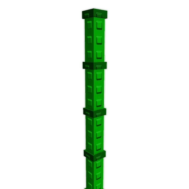 Bamboo fruit